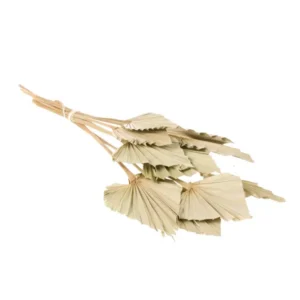 Dried palm leaf