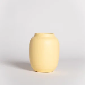 DSCF2938.