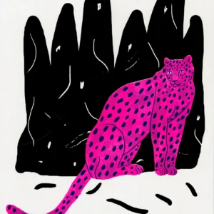 Signed Krõõt Kukkur Illustrations “pink leopard” risograph 40×50