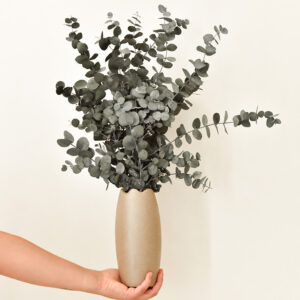 Stabilized Cinerea branches, green