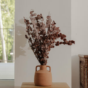 Preserved Cinerea Branches, Mocha