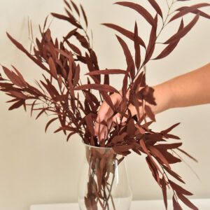 Stabilized Nicoly Branches Red