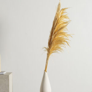 Stabilized Pampas Branches Beige