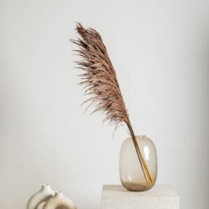 Stabilized Pampas Grass Branches Brown
