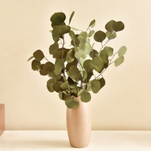 Preserved Populus Branches, Green
