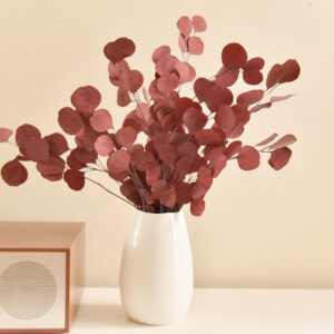 Stabilized Populus Branches Red