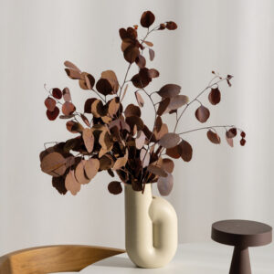 Stabilized Populus Mocha branches