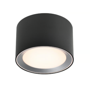Landon Ceiling Light – Black