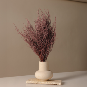 Preserved Pink Stoebe Branches