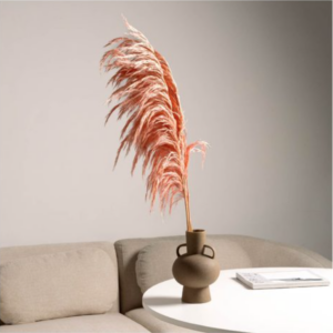 Stabilized pampas branches light pink