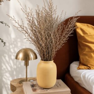 Stabilized Stoebe branches beige