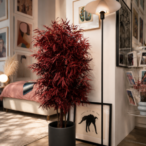 Stabilized plant “Wide Red Nicoly tree”