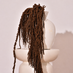 Stabilized Amaranthus branch in mocha