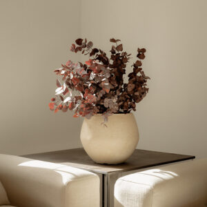 Stabilized plant "Cinerea mocha" 0.7m