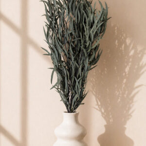 Stabilized Nicoly branches, green