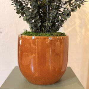 Ceramic Plant Pot Terra – orange